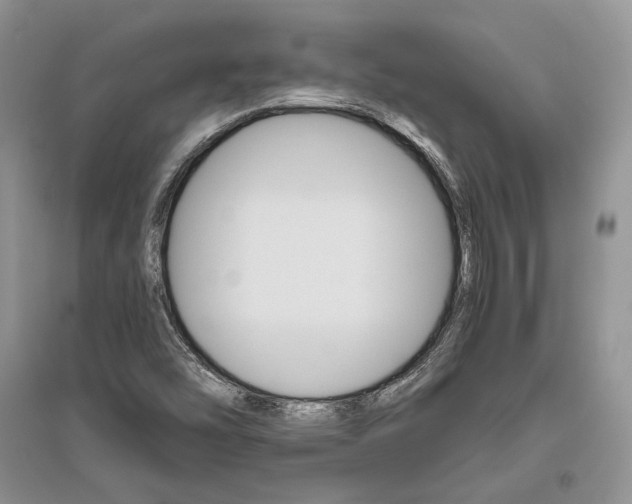X0000096481454200801241136