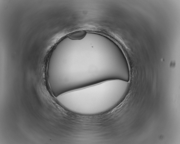 X0000096481455200801241136