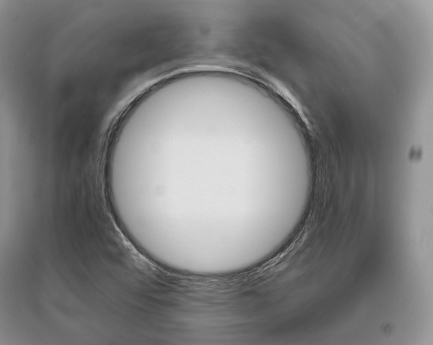 X0000096481456200801241136