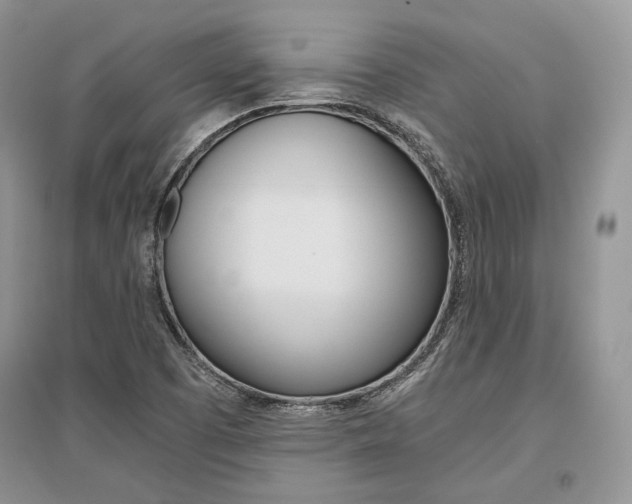 X0000096481457200801241136