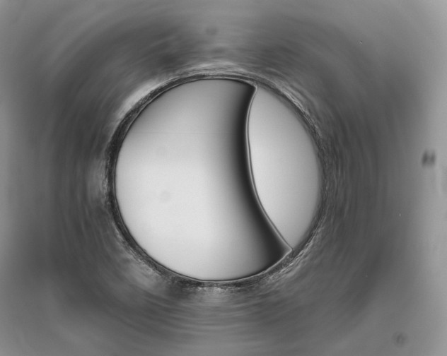 X0000096481458200801241136