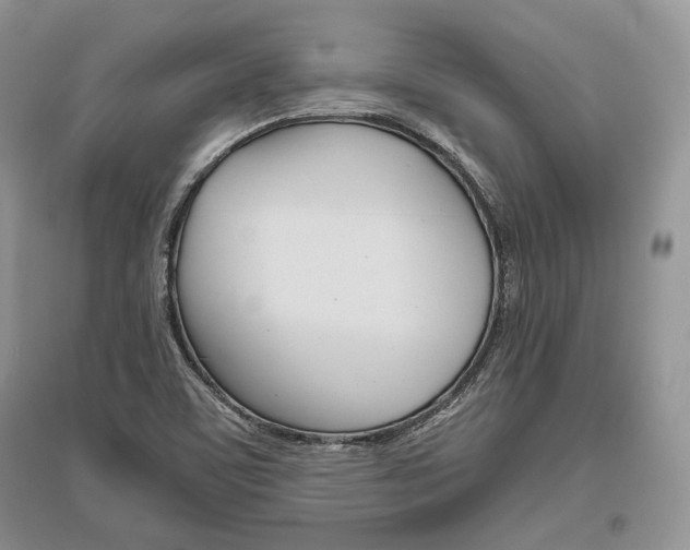 X0000096481459200801241135