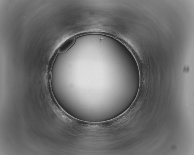 X0000096481460200801241135