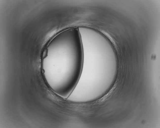 X0000096481461200801241135