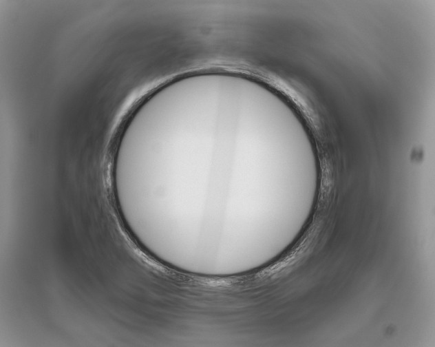 X0000096481462200801241135