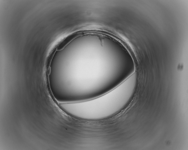 X0000096481464200801241135