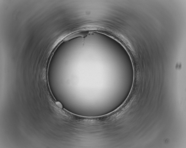 X0000096481465200801241135