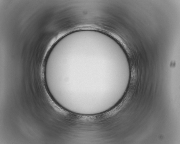 X0000096481466200801241135
