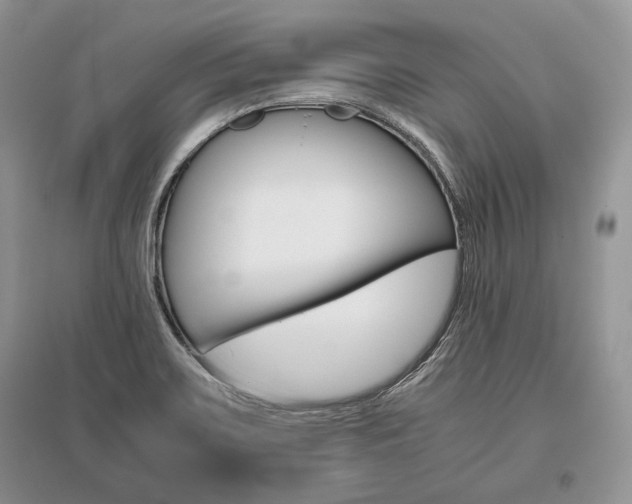 X0000096481467200801241135