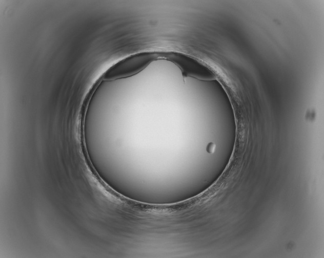 X0000096481468200801241135