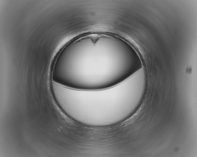 X0000096481469200801241135