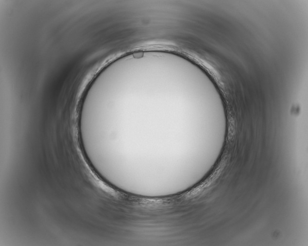 X0000096481470200801241135