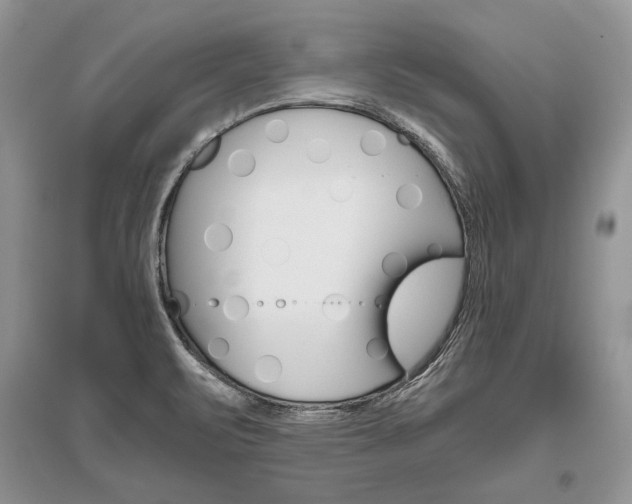 X0000096481471200801241135