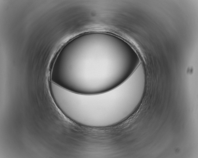 X0000096481472200801241135
