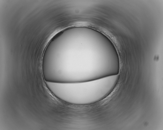 X0000096481473200801241135