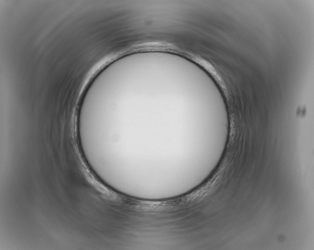 X0000096481474200801241135