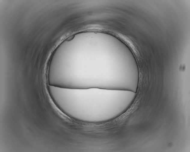 X0000096481475200801241135