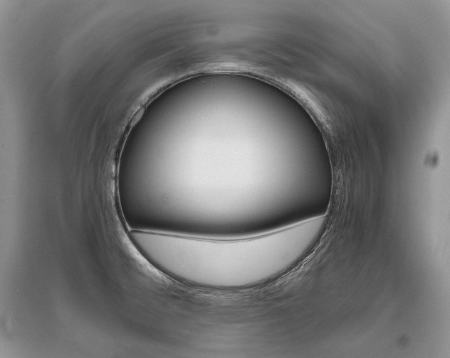 X0000096481476200801241135