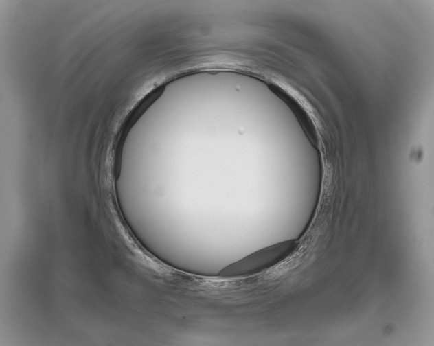 X0000096481477200801241135