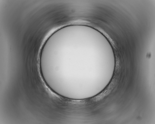 X0000096481478200801241135
