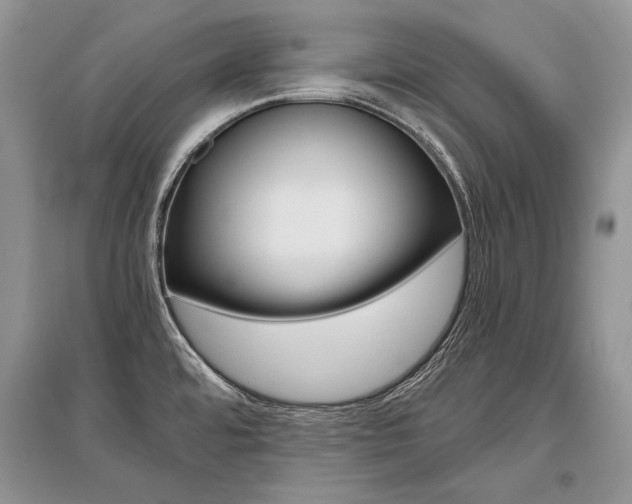 X0000096481480200801241135