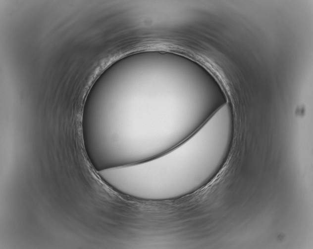 X0000096481481200801241135
