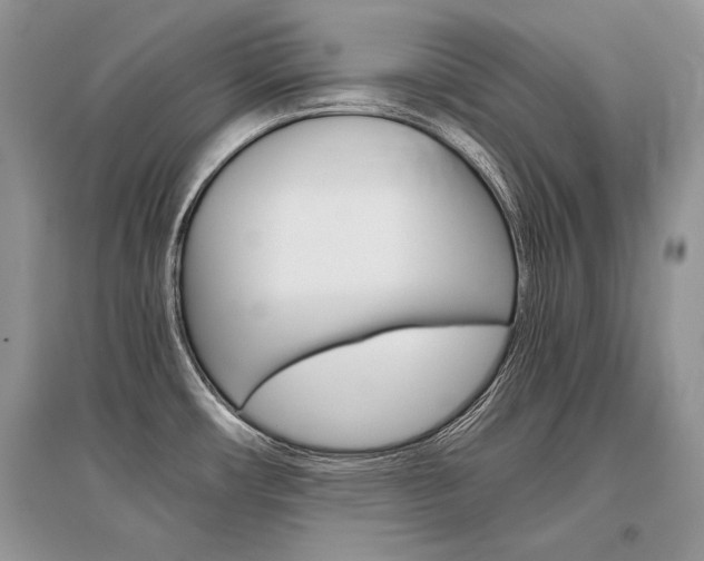 X0000096481482200801241135