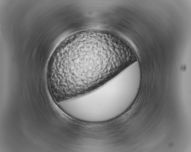 X0000096481483200801241135