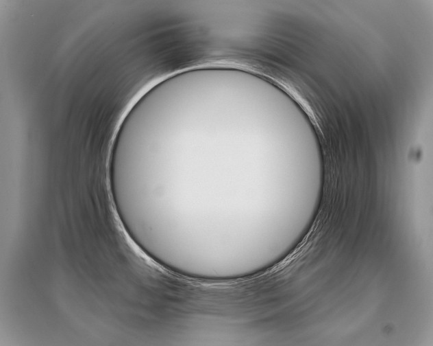 X0000096481484200801241135