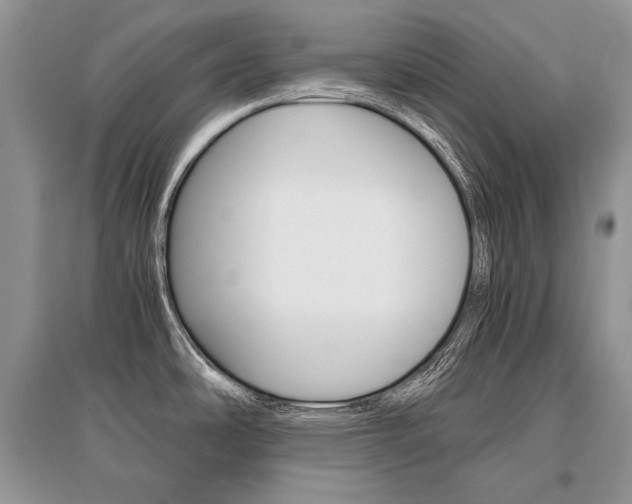X0000096481486200801241135