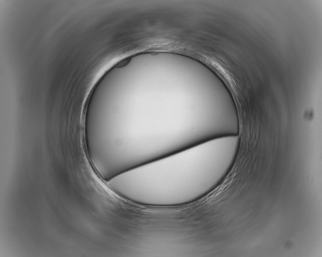 X0000096481487200801241135