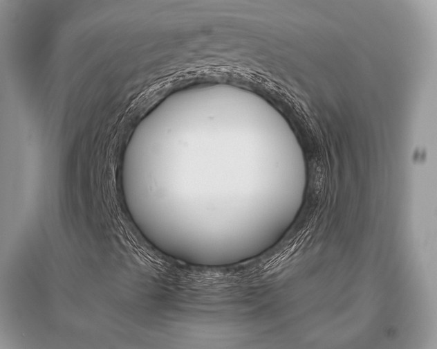 X0000096481489200801241134