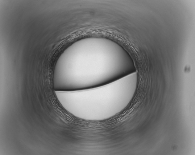 X0000096481490200801241134