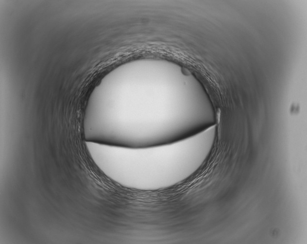X0000096481491200801241134