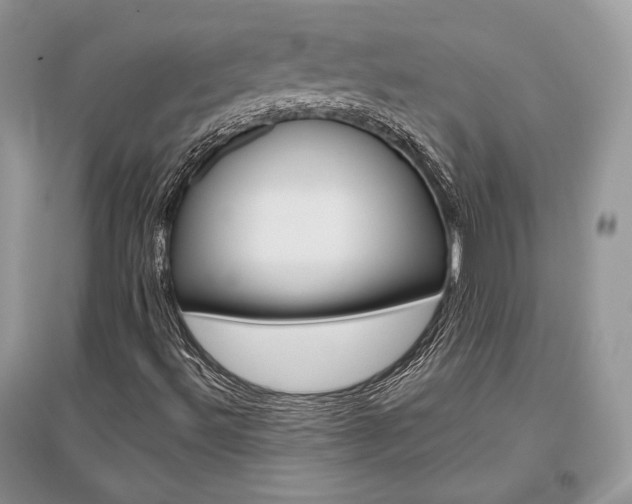 X0000096481492200801241134