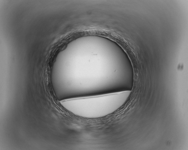 X0000096481493200801241134