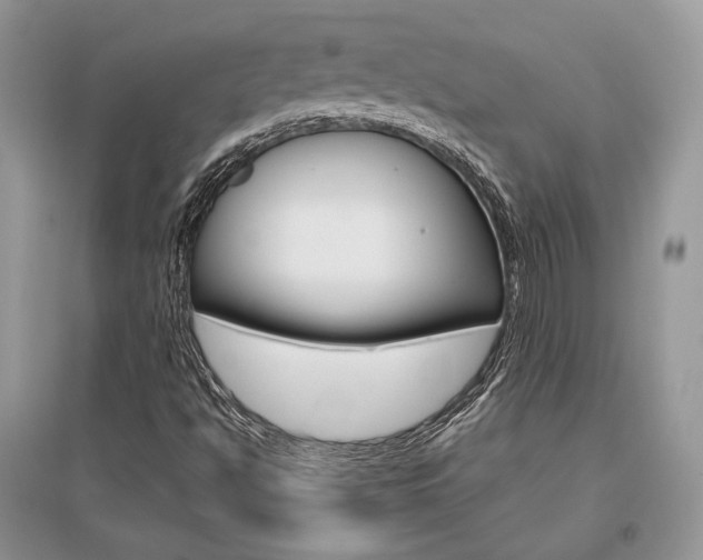 X0000096481494200801241134