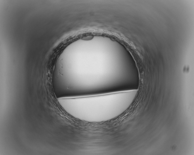 X0000096481495200801241134