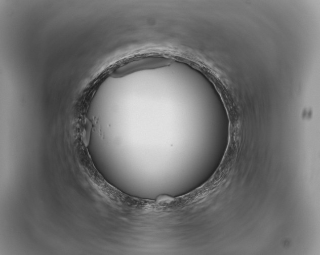 X0000096481496200801241134