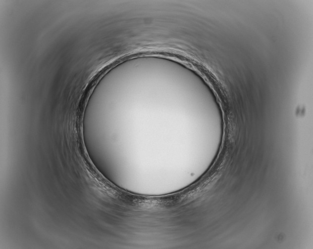 X0000096481497200801241134