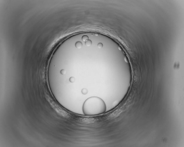 X0000096481499200801241134