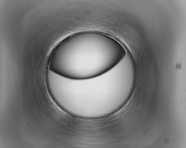 X0000096481500200801241134