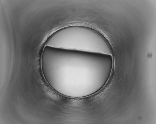 X0000096481501200801241134