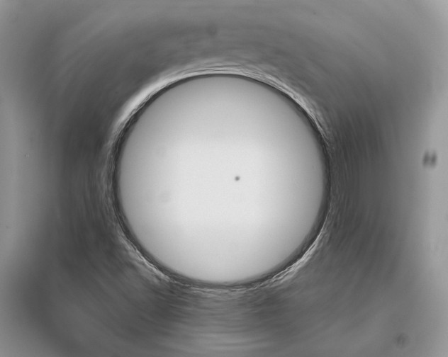 X0000096481502200801241134