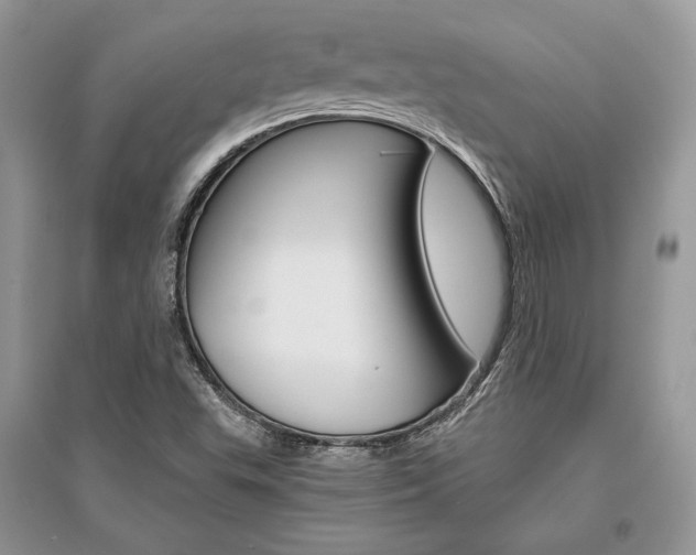 X0000096481503200801241135