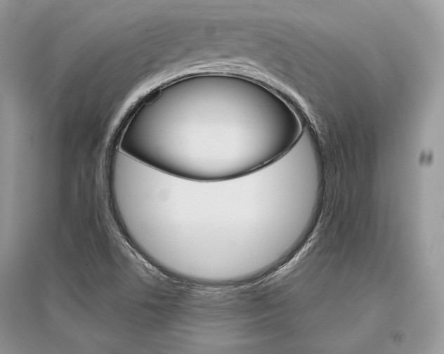 X0000096481506200801241135
