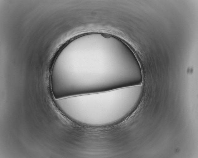 X0000096481507200801241135