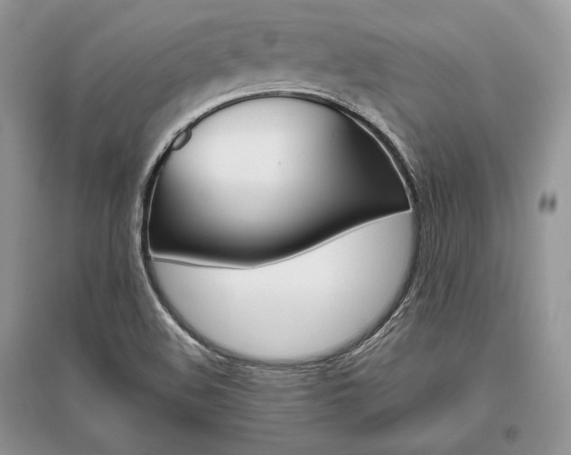 X0000096481508200801241135