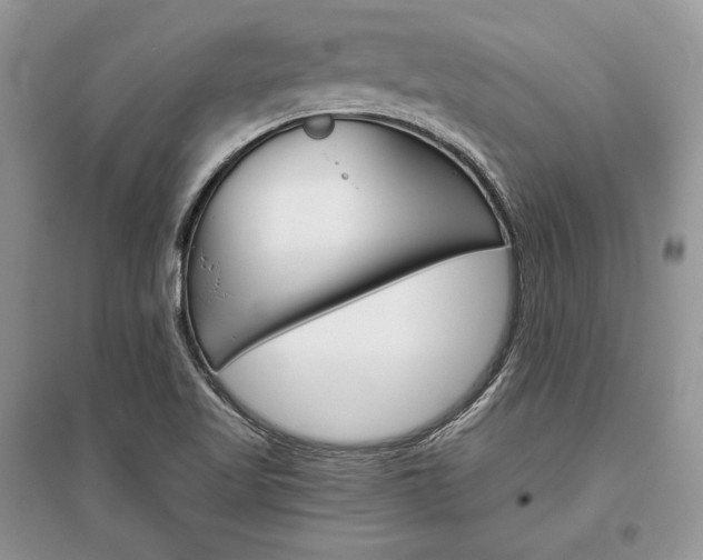 X0000096481509200801241135
