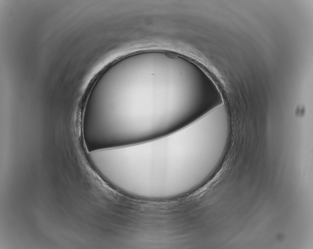 X0000096481510200801241135